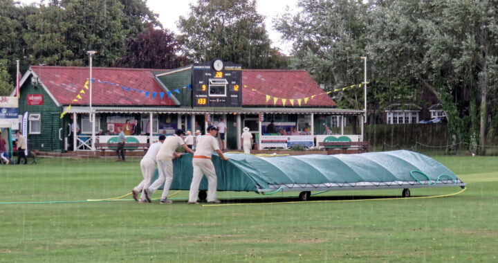 batting-friendly pitches
